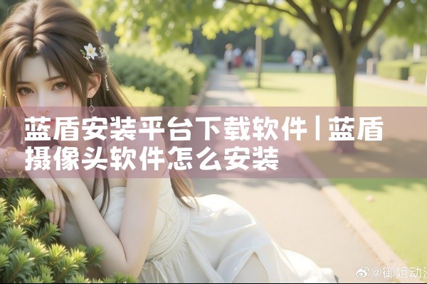 蓝盾安装平台下载软件
