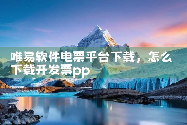 唯易软件电票平台下载