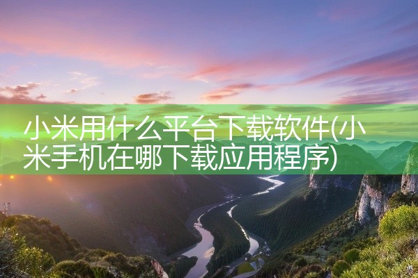 小米用什么平台下载软件