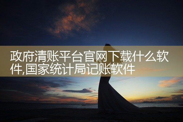 政府清账平台官网下载什么软件
